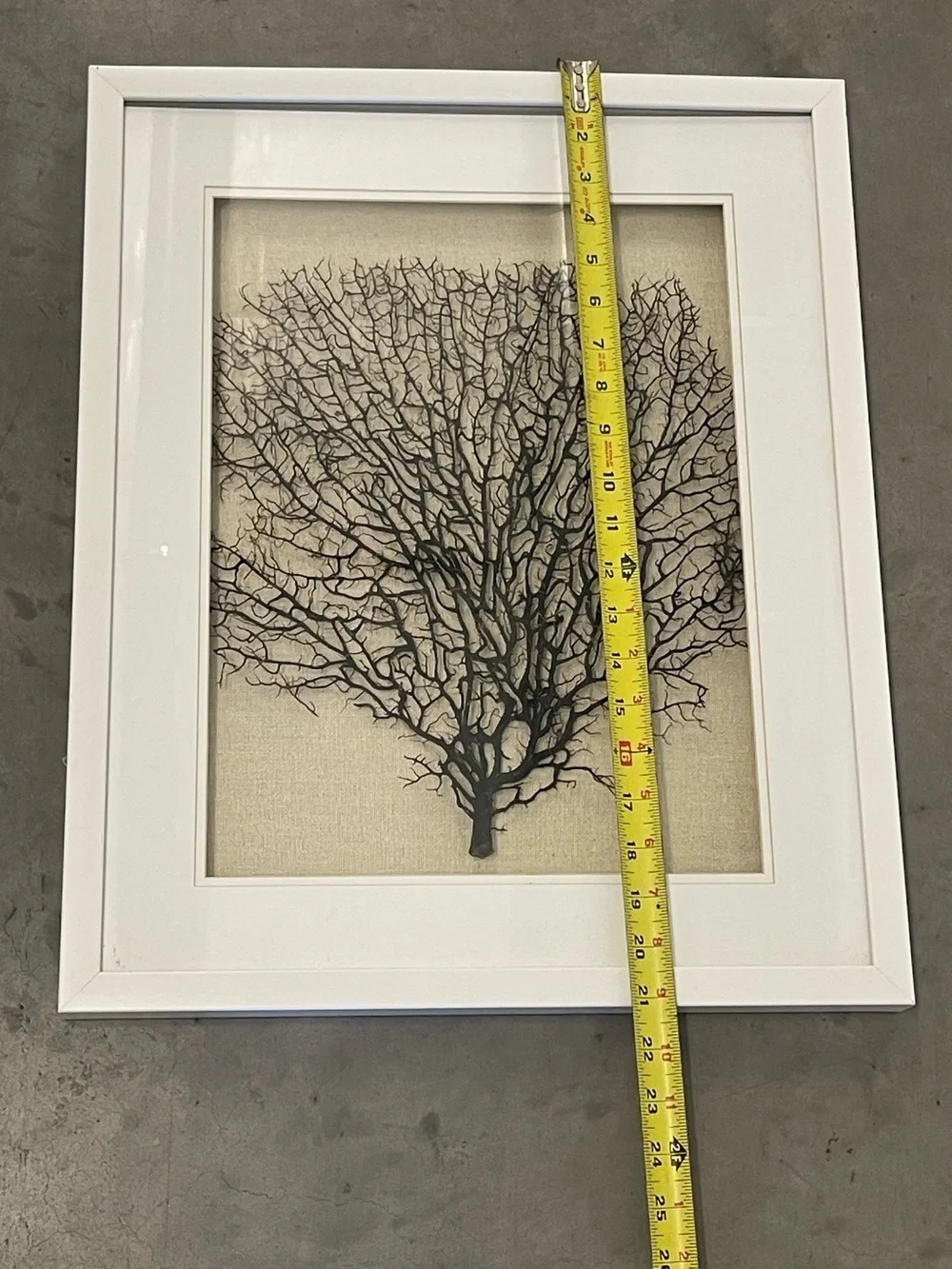 ✨ Faux Black Sea Fan Coral Framed Wall Art Set of 2 Coastal Boho Decor ✨